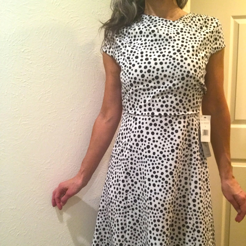 Alexia Admor polka dot dress